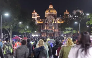 Peregrinos rumbo a la Basílica de Guadalupe. Crédito: EWTN