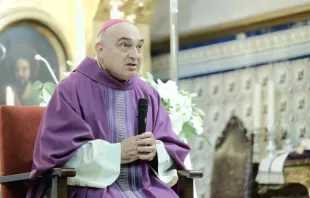 El Arzobispo de Valencia (España), Mons. Enrique Benavent. Crédito: AVAN