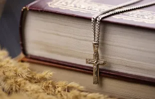 Imagen referencial: Biblia. Crédito: Shutterstock