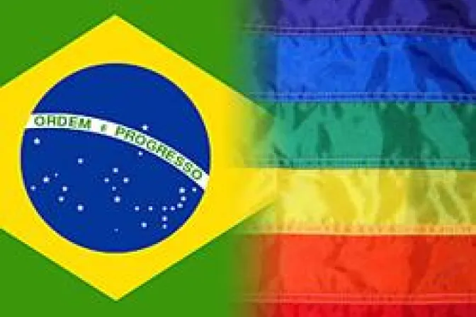 Lobby gay presiona al Senado para aprobar ley "Brasil sin homofobia"