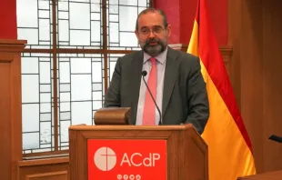 Alfonso Bullón de Mendoza, presidente de la Asociación Católica de Propagandistas. Crédito: ACdP 