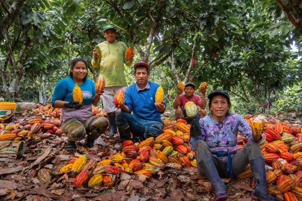 Algunos productores de cacao aromático orgánico de la cooperativa Colpa de Loros. Crédito: Cáritas del Perú.