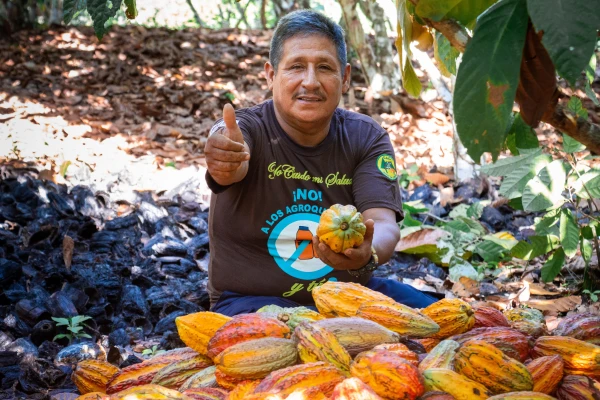 Un productor de cacao de la cooperativa Colpa de Loros. Crédito: Cáritas del Perú.