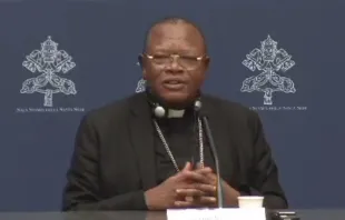 Cardenal africano Fridolin Ambongo Crédito: Captura de pantalla