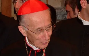 Cardenal Camillo Ruini. Crédito: Giuseppe Ruggirello CC BY-SA 3.0