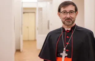 Cardenal José Cobo, Arzobispo de Madrid. Crédito: Daniel Ibáñez / ACI Prensa.
