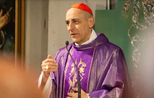 Cardenal Víctor Manuel "Tucho" Fernández. Crédito: Elisabeth Alva / ACI Prensa.