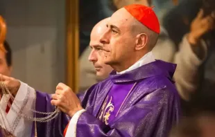 Cardenal Víctor Manuel "Tucho" Fernández. Crédito: Elisabeth Alva / ACI Prensa