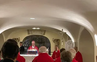 Cardenal Fisichella celebra Misa en el Encuentro de Círculos de Discípulos de Benedicto XVI Crédito: Cortesía María Esther Gómez de Pedro