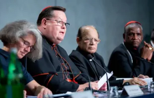 El Cardenal Gerald Lacroix, Arzobispo de Quebec (Canadá), habla en una rueda de prensa sobre el Sínodo en la oficina de prensa de la Santa Sede, el 9 de octubre de 2018. Crédito: Daniel Ibáñez / EWTN News.