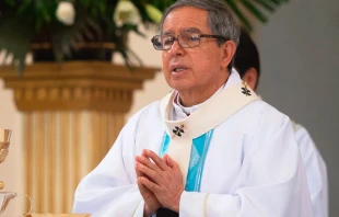 El Cardenal Luis José Rueda Aparicio durante una Misa en la Catedral de Bogotá. Crédito: Eduardo Berdejo / ACI Prensa.