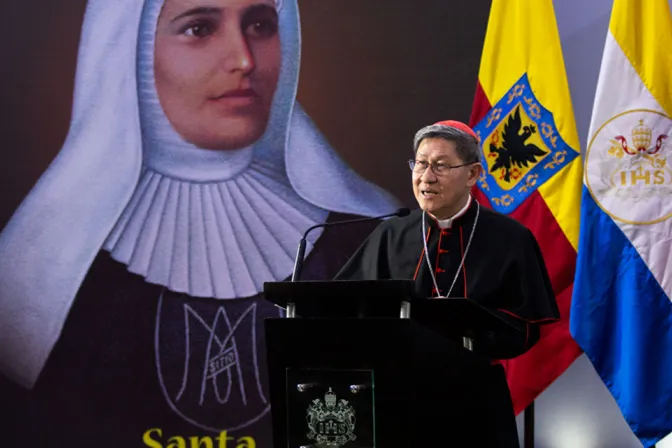 Cardenal Luis Antonio Tagle.