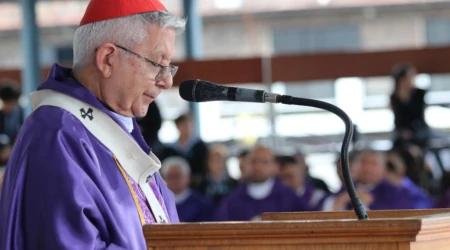 Cardenal Martínez Flores