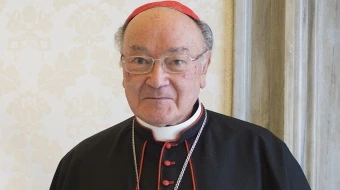 Cardenal Renato Raffaele Martino