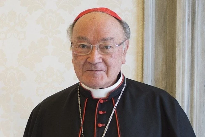 El Cardenal Renato Raffaele Martino