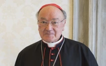 Cardenal Renato Raffaele Martino