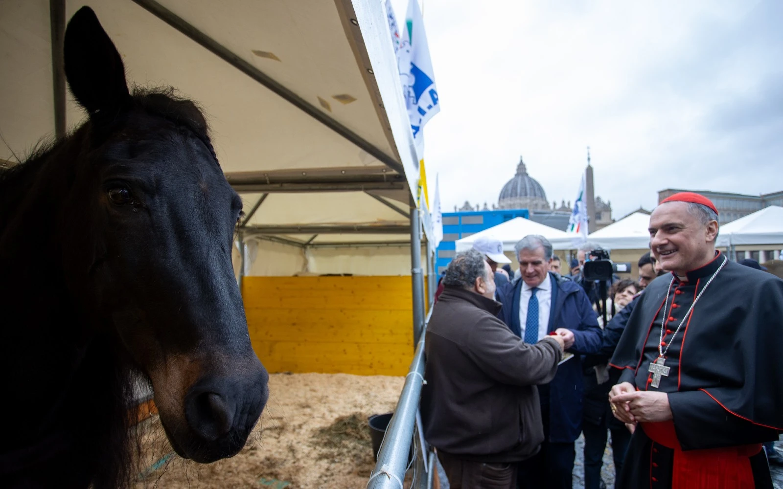 El Cardenal Mauro Gambetti bendice a los animales en la festividad de San Antonio Abad?w=200&h=150