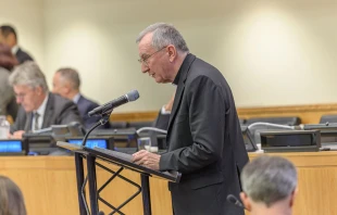 Cardenal Pietro Parolin. Crédito: The Official CTBTO Photostream (Conferencia del Artículo XIV del Tratado de Prohibición Completa de los Ensayos Nucleares de 2019)/ Wikimedia Commons.