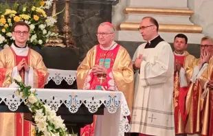 El Cardenal Pietro Parolin en la Misa en el santuario ucraniano de Nuestra Señora del Carmen en Berdychiv Crédito: Vatican News