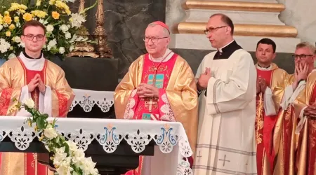 Cardenal Pietro Parolin en la Misa en el santuario ucraniano de Nuestra Señora del Carmen en Berdychiv 21072024