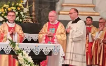 El Cardenal Pietro Parolin en la Misa en el santuario ucraniano de Nuestra Señora del Carmen en Berdychiv