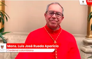 Nuevo Cardenal Luis José Rueda Aparicio, Arzobispo de Bogotá (Colombia) Crédito: Captura CEC