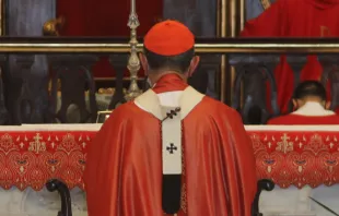Un cardenal católico, arrodillado durante una celebración litúrgica. Crédito: Yandri Fernández Perdomo / Cathopic.