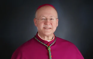 Mons. Jeffrey S. Grob. Crédito: Cortesía de la Arquidiócesis de Chicago