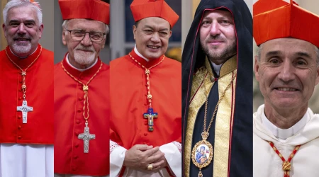 5 de los cardenales creados por el Papa Francisco en el consistorio de hoy