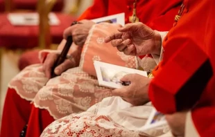 En la imagen, los cardenales se reúnen en el consistorio público ordinario para la creación de nuevos cardenales en la Basílica de San Pedro el 5 de octubre de 2019. El próximo consistorio será el 8 de diciembre de 2024. Crédito: Daniel Ibáñez/EWTN.