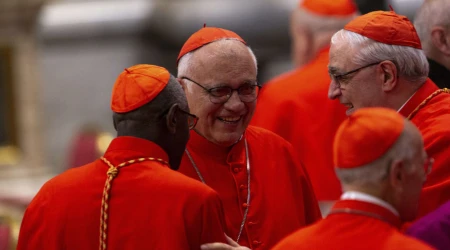 Cardenales de la Iglesia Católica 06122024