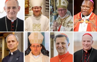 Arriba (de izquierda a derecha) Cardenal Matteo Zuppi, Cardenal Luis Tagle, Cardenal Pietro Parolin, Cardenal Fridolin Ambongo. Abajo (de izquierda a derecha) Cardenal Robert Francis Prevost, Cardenal Sérgio da Rocha, Cardenal Mario Grech, Cardenal Carlos Aguiar Retes. Crédito: Wikimedia Commons / Dominio público.