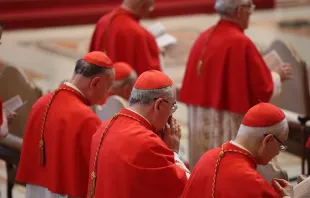 Imagen referencial de cardenales. Crédito: ACI Prensa 