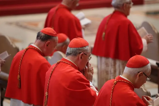 Ucrania y el Sínodo entre temas abordados en reunión del Consejo de Cardenales con el Papa