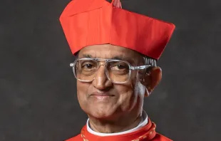Cardenal Sebastian Francis, Obispo de Penang (Malasia). Crédito: Diócesis de Penang.