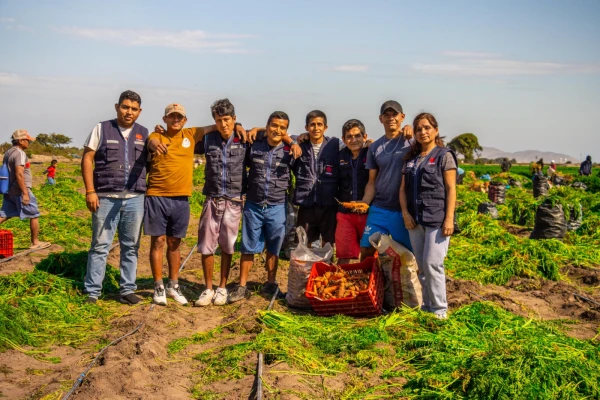 Un equipo de Cáritas del Perú ayudando en la cosecha de vegetales. Crédito: Cáritas del Perú.