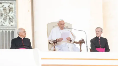 El Papa Francisco en la Audiencia General de este 29 de mayo