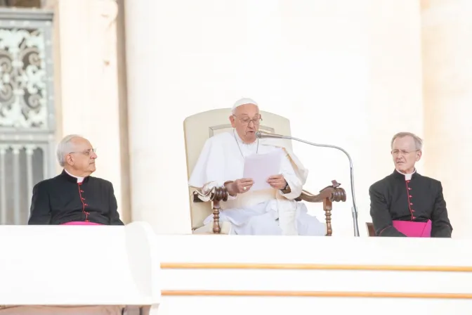 El Papa Francisco en la Audiencia General de este 29 de mayo