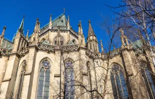Catedral de la Inmaculada Concepción en Linz (Austria). Crédito: Jolanta Wojcicka / Shutterstock.com