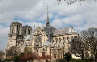 Una fotografía tomada el 27 de marzo de 2019 muestra un andamio durante la restauración de la Catedral de Notre-Dame de París. Crédito: Ludovic Marin/AFP vía Getty Images.