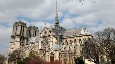 Catedral de Notre-Dame de París.