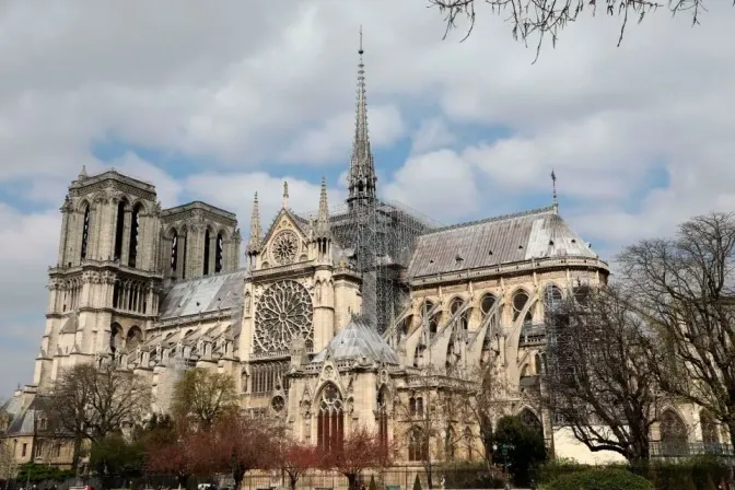 Catedral de Notre-Dame de París.