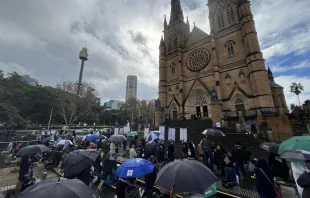 Rosario de Hombres frente a la Catedral de Santa María en Sydney, Australia, el 1 de junio de 2024. Crédito: Cortesía de Maximus Men's Ministry Network