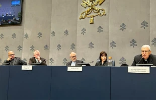 Presentación de la campaña "La vida pende de un hilo" en la Sala de Prensa del Vaticano. Crédito: CELAM.