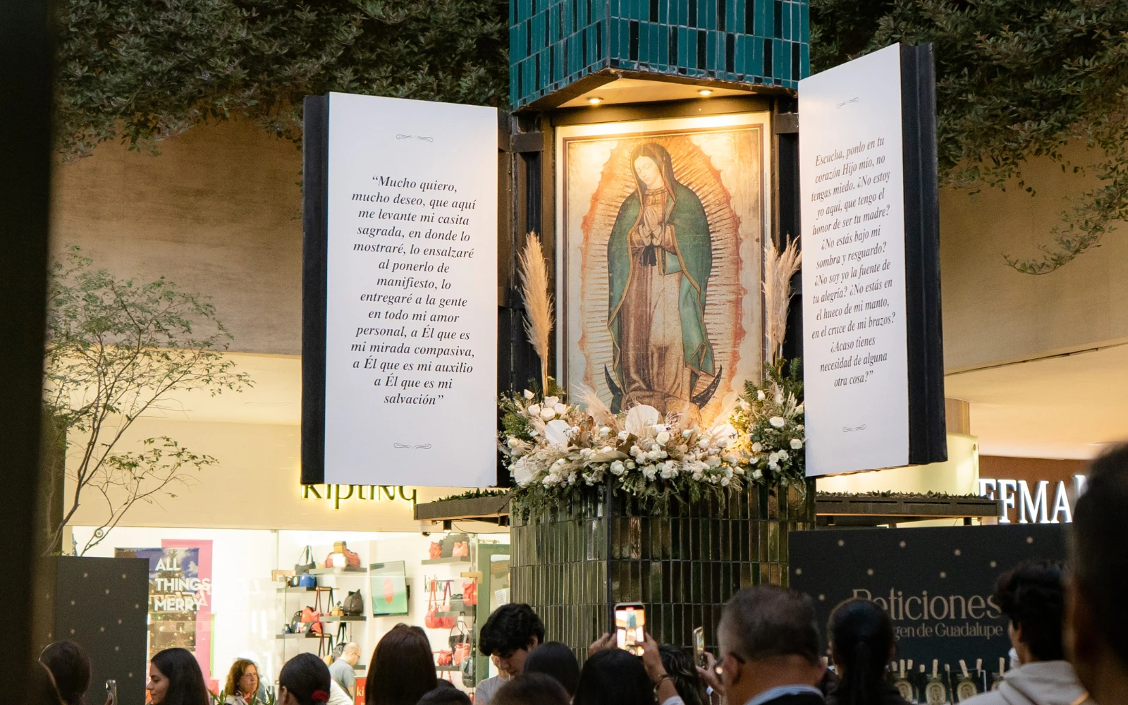 Rezo del Rosario frente a imagen de la Virgen de Guadalupe.?w=200&h=150