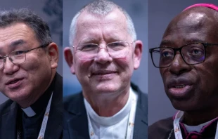 Los cardenales electos Arzobispo Tarcisio Isao Kikuchi, SVD; Arzobispo Jaime Spengler, OFM; y Arzobispo Ignace Bessi Dogbohe discuten las contribuciones de la Iglesia fuera de Europa durante una rueda de prensa del Sínodo sobre la Sinodalidad el 8 de octubre de 2024. Crédito: Daniel Ibañez/EWTN News