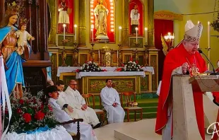 Fiesta en honor de María Auxiliadora en Colonia Vignaud Crédito: Página de Facebook - Obispado de San Francisco