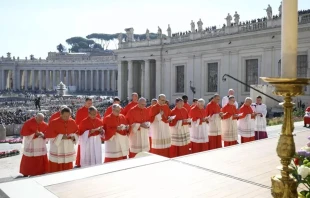 Cardenales en el Consistorio de septiembre de 2023 en el Vaticano. Crédito: Vatican Media.