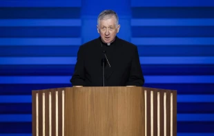 El Arzobispo de Chicago (Estados Unidos), Cardenal Blase Cupich, habla en el escenario durante el primer día de la Convención Nacional Demócrata en el United Center de Chicago el 19 de agosto de 2024. Crédito: Chip Somodevilla/Getty Images.