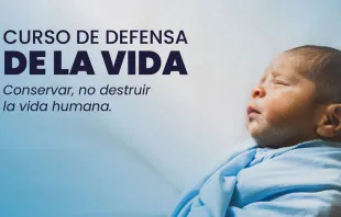 Afiche del curso "Conservar, no destruir la vida humana", lanzado por el Instituto Tomás Moro. Crédito: Instituto Tomás Moro.
